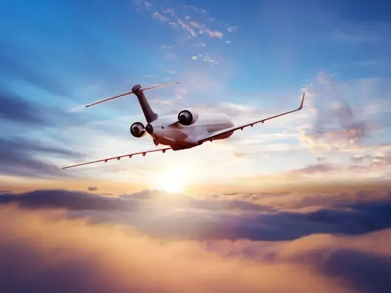 航空業界向けSAP