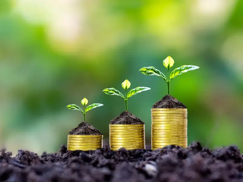 Actual SAP Implementation Cost Breakdown Stories