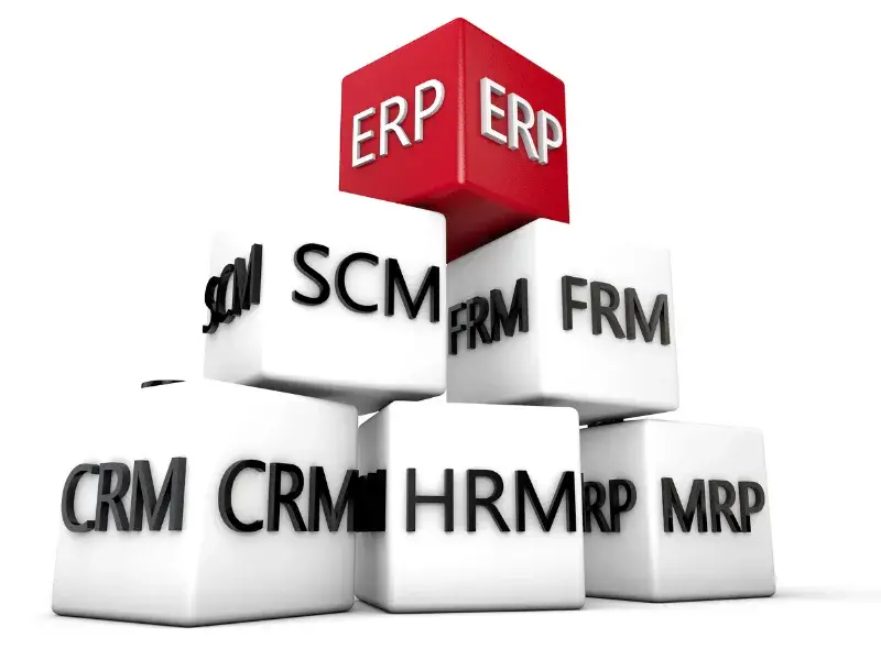 ERP Consulting Services That De-Risk Your Journey