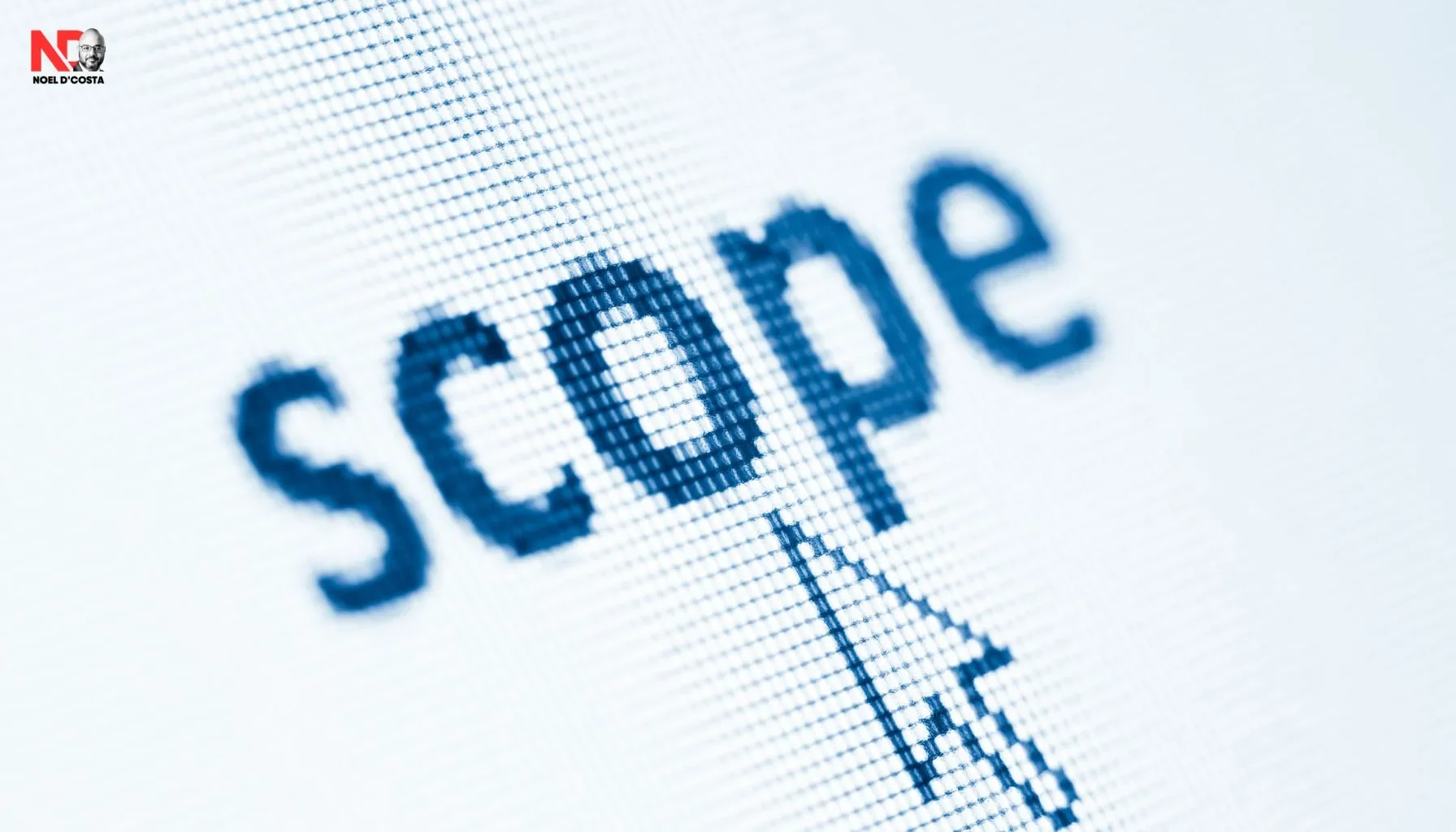 Project Scope Sections