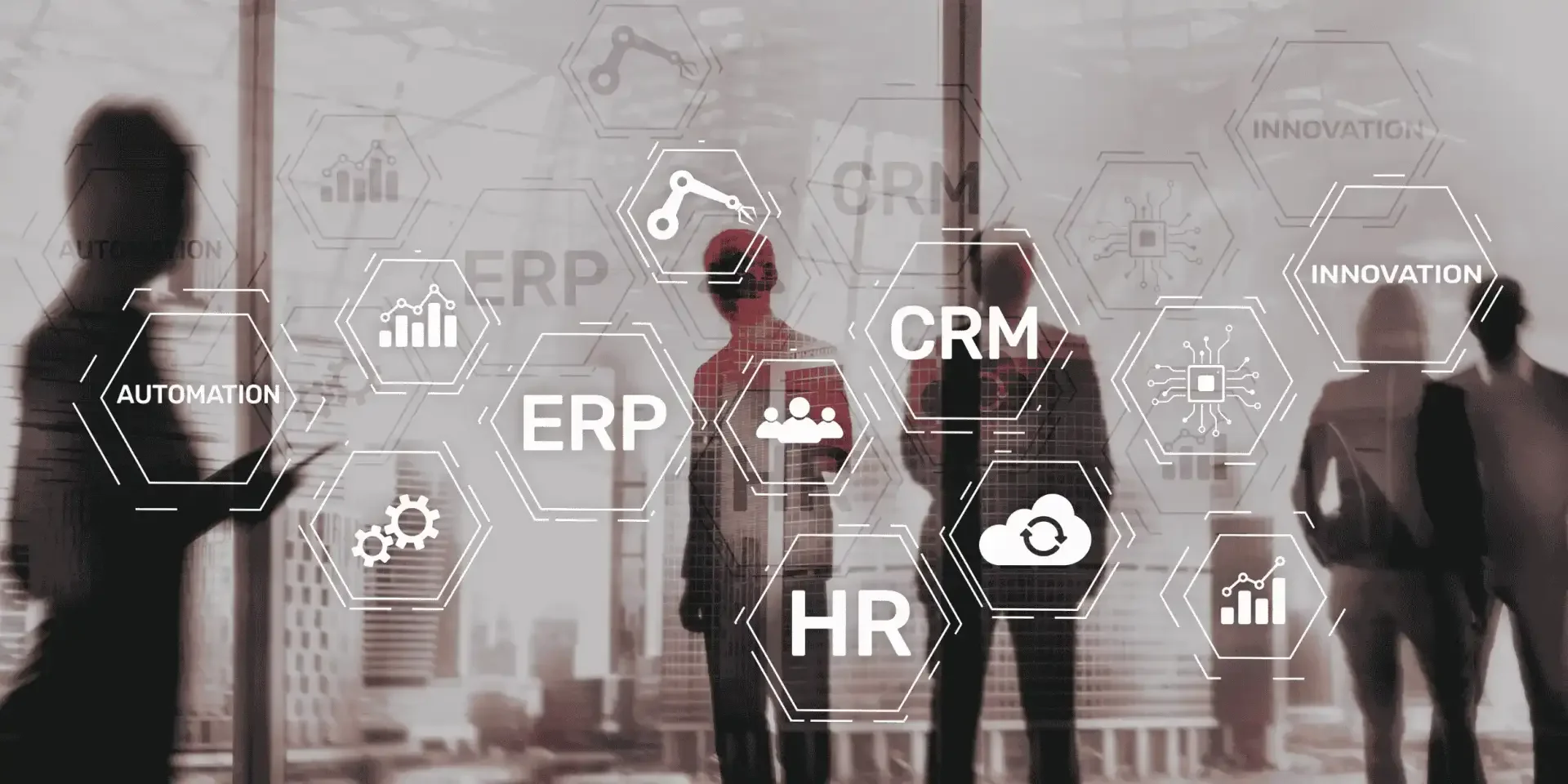 SAP ERP Implementation SAP ERP Implementation